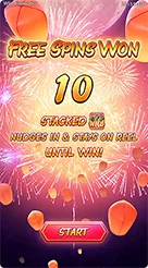 t9999 · Wild Fireworks